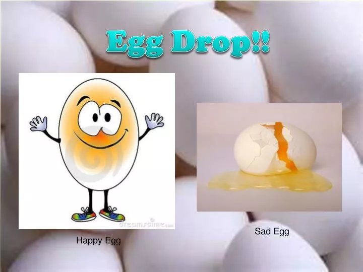 egg drop project essays egg drop project essays