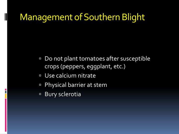 southern blight treatment