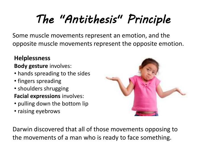 principle of antithesis principle of antithesis