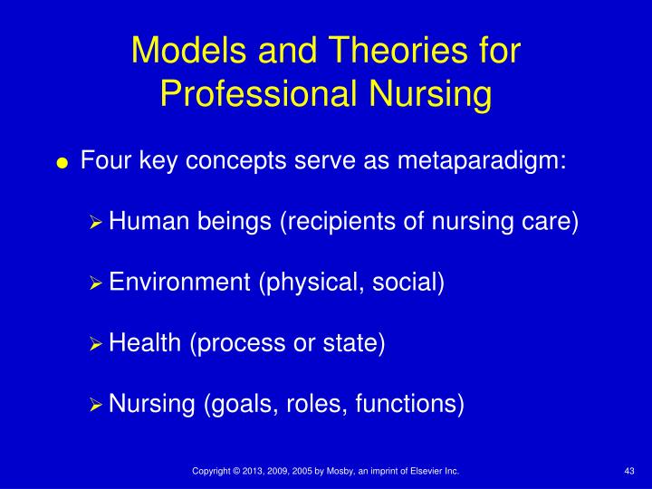 florence nightingale environment theory essay custom paper writing florence nightingale theory