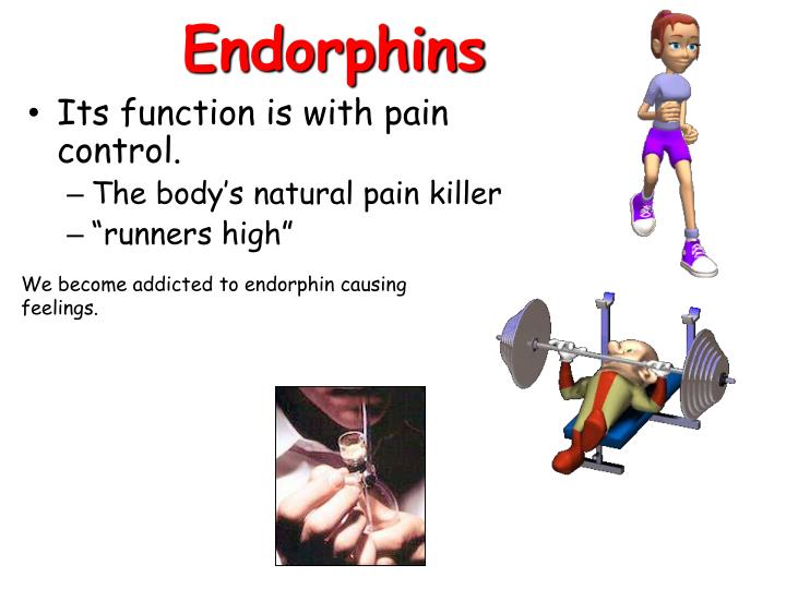 Which Neurotransmitter S Is Are The Body S Natural Pain Killer Which Neurotransmitter S Is Are The Body S Natural Pain Killer