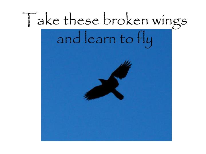 take-these-broken-wings-and-learn-to-fly-n.jpg