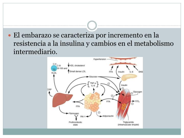 PPT - Diabetes Mellitus Gestacional PowerPoint PPT - Diabetes Mellitus Gestacional PowerPoint