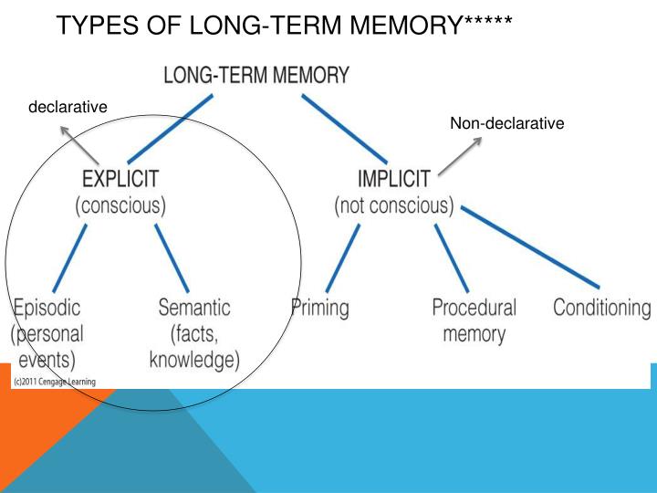 PPT Cognitive Level of Analysis PowerPoint Presentation ID2556991