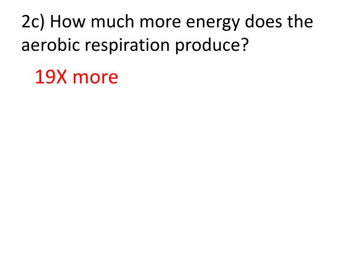 Ppt Investigation Muscle Fatigue Anaerobic Respiration 2c How Much More Energy Does The Aerobic Respiration Produce