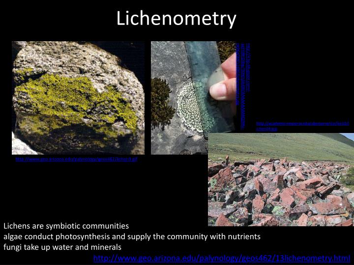 Lichenometry dating