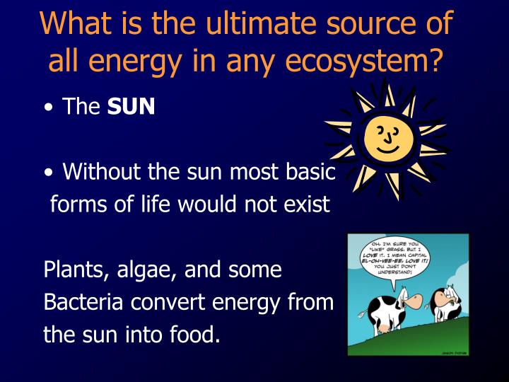 is sunlight an energy source for chemosynthesis is sunlight an energy source for chemosynthesis