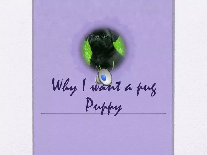 i want a pug puppy ppt why i want a pug puppy powerpoint presentation id 2586656 i want a pug puppy ppt why i want a pug puppy powerpoint presentation id 2586656