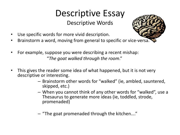descriptive essay of 300 words descriptive essay of 300 words