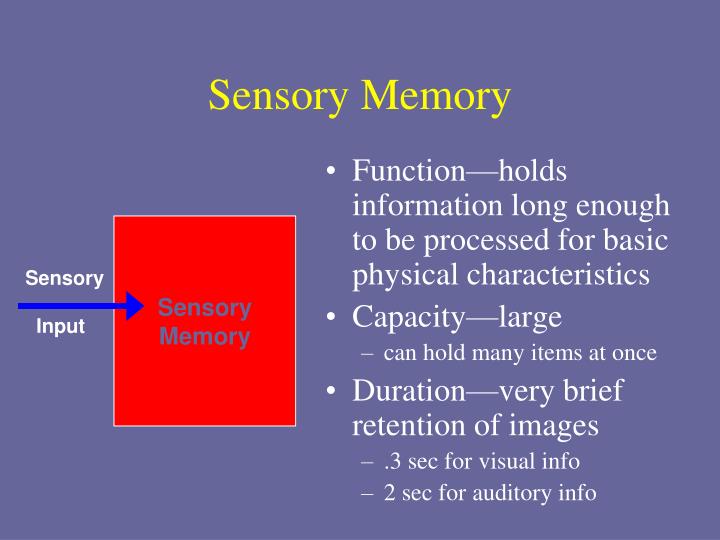 sensory memory sensory memory