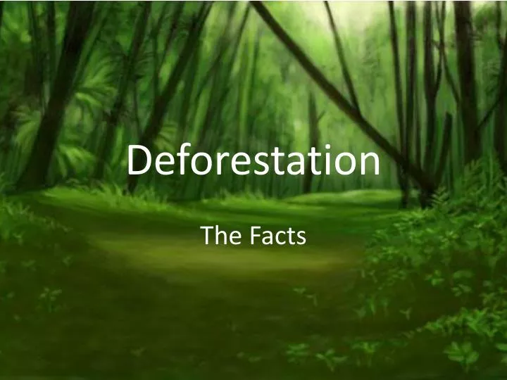 Deforestation case study ppt