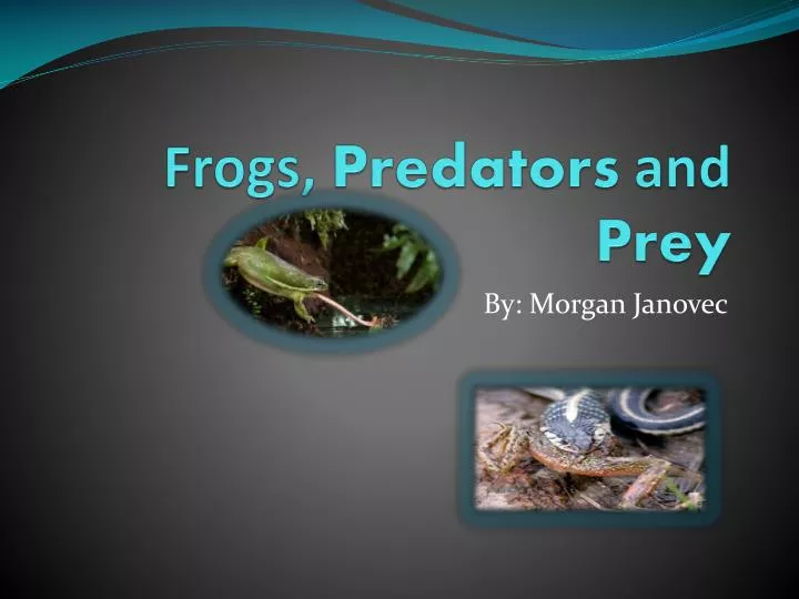 ppt-frogs-predators-and-prey-powerpoint-presentation-id-2597568