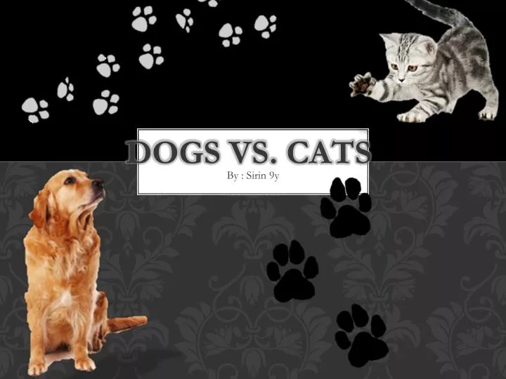 Dogs And Cats Compare And Contrast Essay