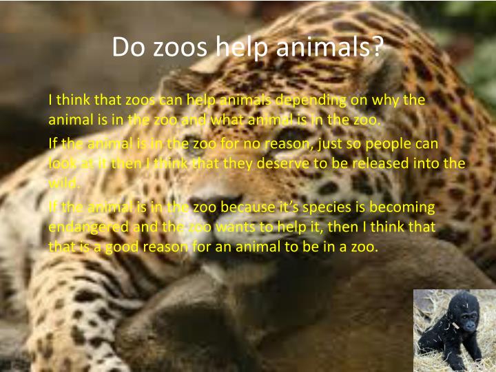 should animal be kept in zoo essay We should ban the keeping of animals in zoos animals should be kept out of places doing an essay on why zoos should not be banned but we. should animal be kept in zoo essay We should ban the keeping of animals in zoos animals should be kept out of places doing an essay on why zoos should not be banned but we.