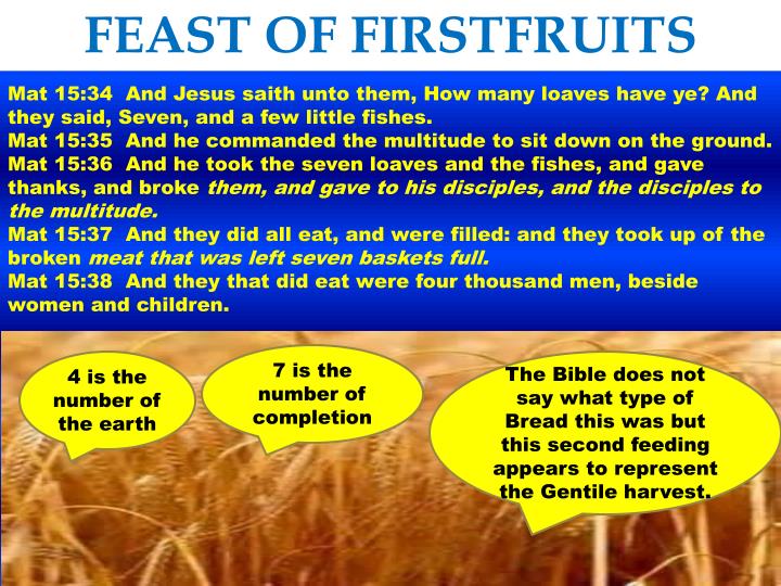 PPT The Feast of First Fruits PowerPoint Presentation ID2626114
