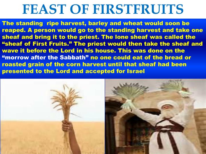 PPT The Feast of First Fruits PowerPoint Presentation ID2626114