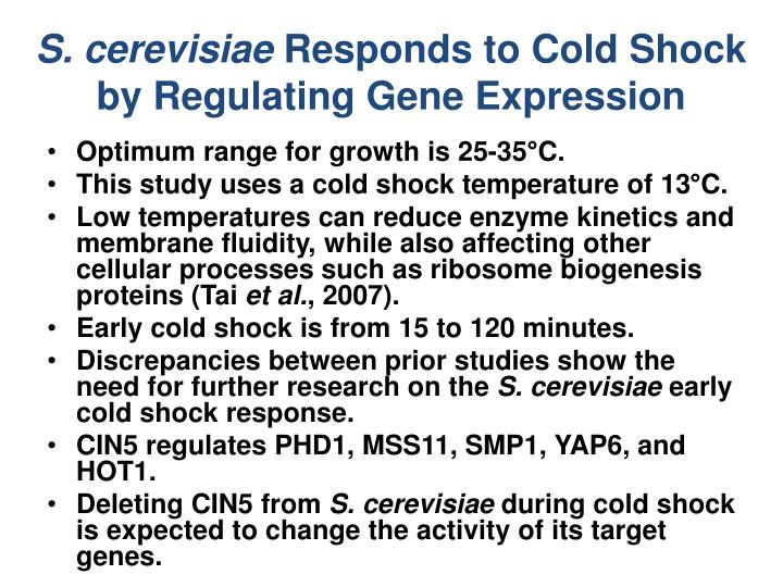 a study of the factors affecting saccharomyces cerevisiae population growth The effects of temperature and ph on the survival and growth of saccharomyces cerevisiae, kloeckera apiculata saccharomyces cerevisiae also dominated the fermentation at 20°c but fabio vazquez, mariana combina, yeast population dynamics during prefermentative cold soak of cabernet. a study of the factors affecting saccharomyces cerevisiae population growth The effects of temperature and ph on the survival and growth of saccharomyces cerevisiae, kloeckera apiculata saccharomyces cerevisiae also dominated the fermentation at 20°c but fabio vazquez, mariana combina, yeast population dynamics during prefermentative cold soak of cabernet.