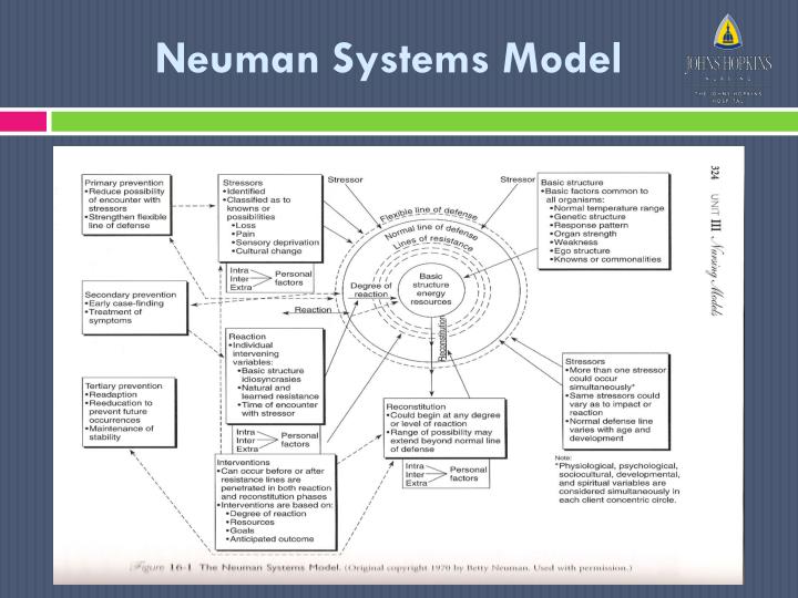 PPT Patient Safety in the ICU! Utilizing the Neuman Systems Model