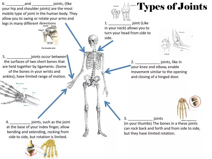 Ppt - Types Of Joints Powerpoint Presentation