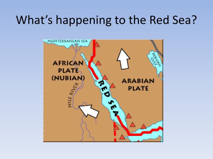 What S Happening To The Red Sea N 