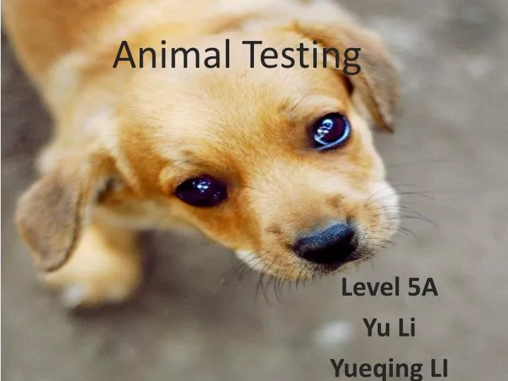 PPT Animal Testing PowerPoint Presentation ID 2659599
