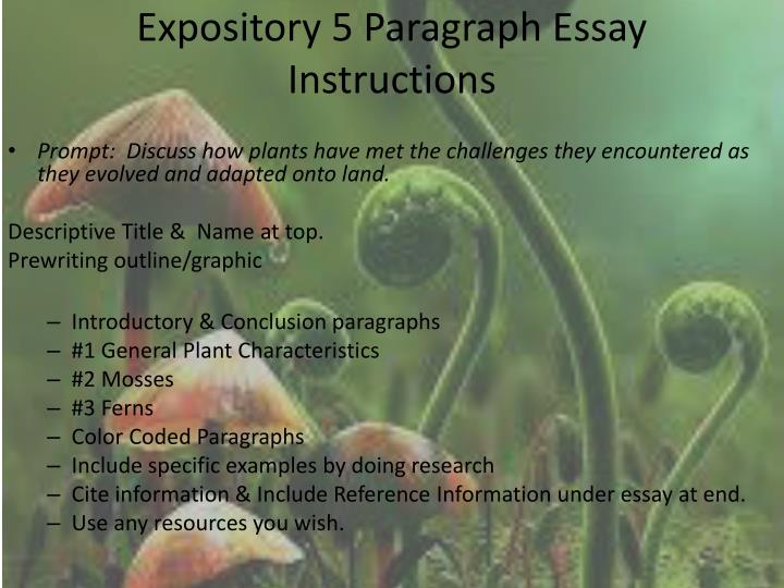 do we indent the first paragraph of an essay do we indent the first paragraph of an essay