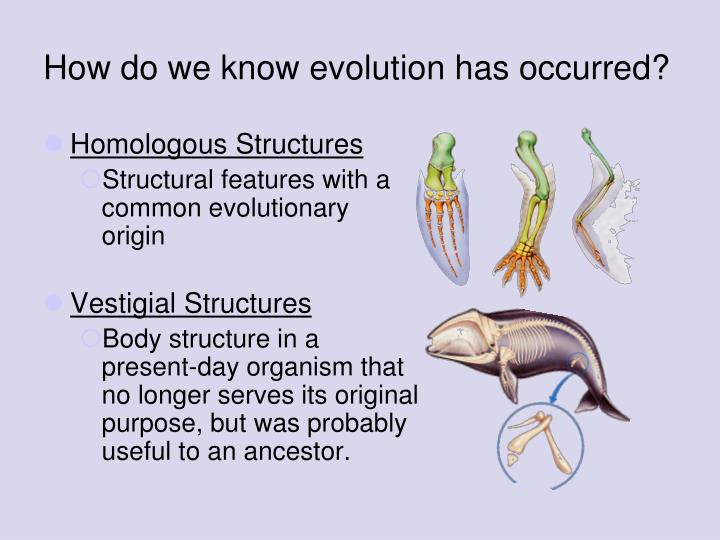 How Do We Know If Natural Selection Has Occurred How Do We Know If Natural Selection Has Occurred