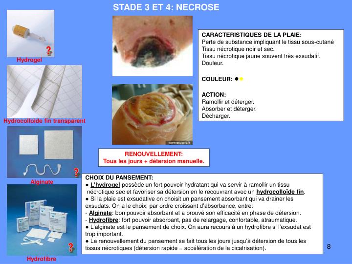 PPT - LES PANSEMENTS DE L’ESCARRE PowerPoint Presentation - ID:2687729