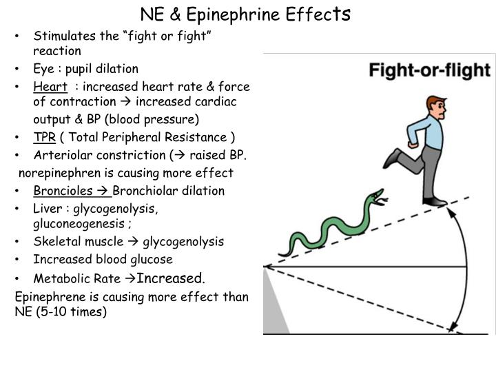 epinephrine high blood pressure