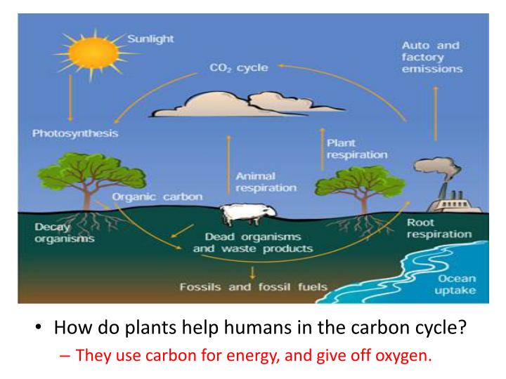 PPT Science Review PowerPoint Presentation ID2690804