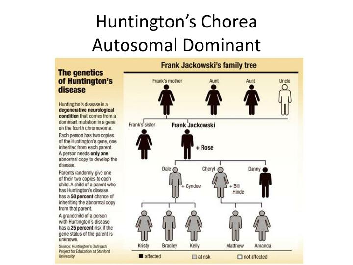 huntingtons chorea essay huntingtons chorea essay