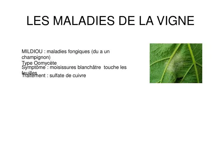 download Medical treatment of intoxications and decontamination of chemical agents in the area of terrorist attack