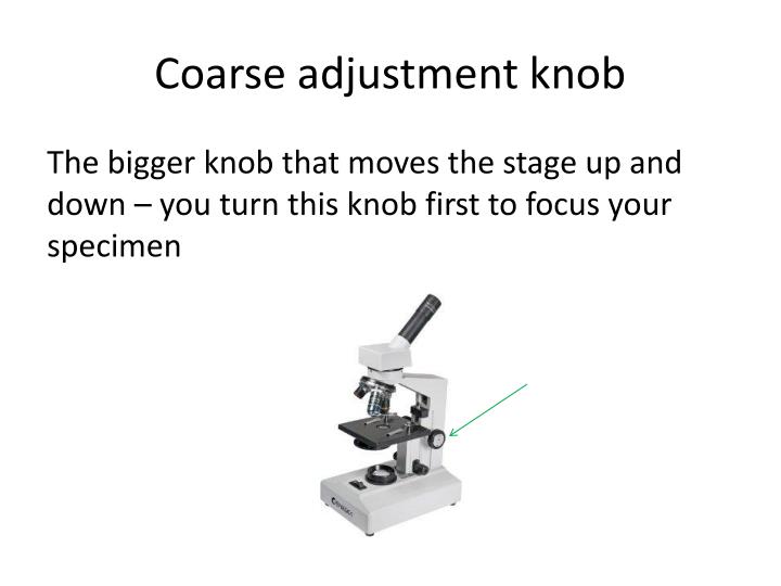 ppt-parts-of-a-compound-light-microscope-powerpoint-presentation-id