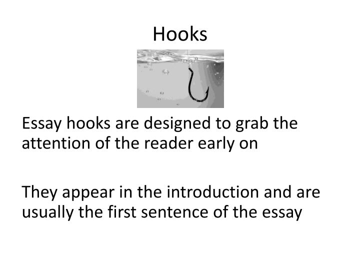when custom essay z when custom essay z