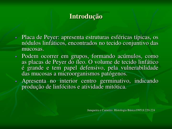 Livro Histologia Basica Junqueira E Carneiro Pdf