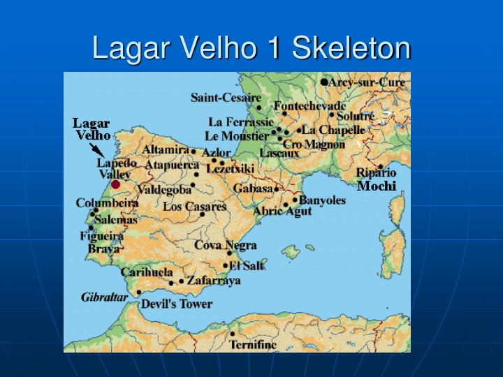 interbreeding between neanderthal and modern humans possible human skeletal remains of a hybrid foun Using several different methods of dna analysis, an international research team has found what they consider to be strong evidence of an interbreeding event between neanderthals and modern humans that occurred tens of thousands of years earlier than any other such event previously documented. interbreeding between neanderthal and modern humans possible human skeletal remains of a hybrid foun Using several different methods of dna analysis, an international research team has found what they consider to be strong evidence of an interbreeding event between neanderthals and modern humans that occurred tens of thousands of years earlier than any other such event previously documented.
