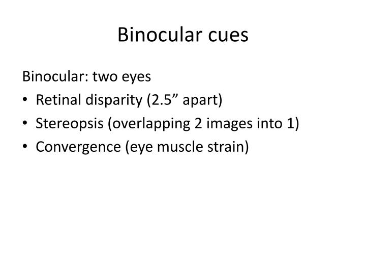 binocular cues binocular cues