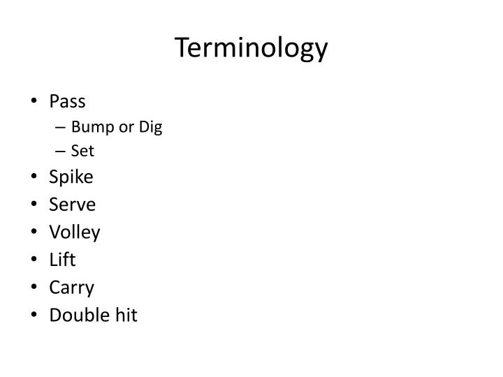 Terminology N 