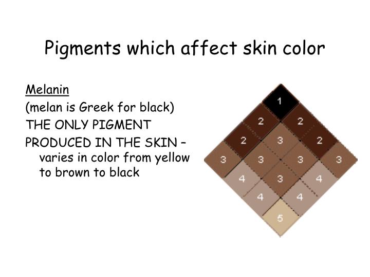 pigments in skin #11