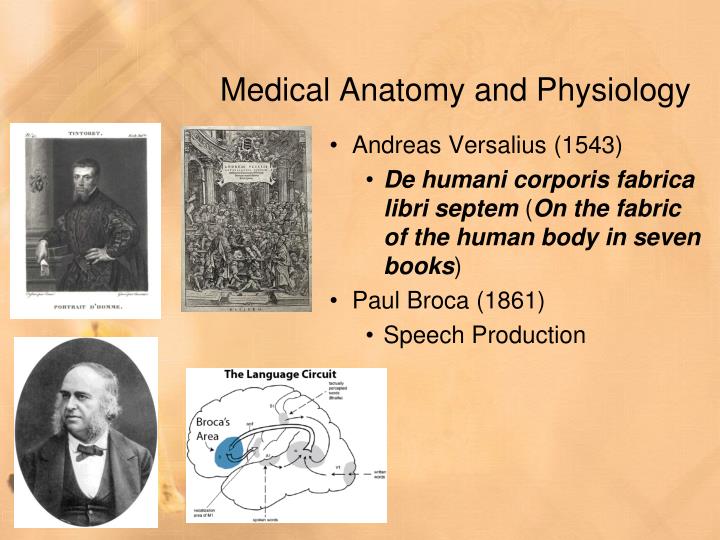 anatomical and physiological evolution of an A good way to distinguish between the two is to have in mind that physiological involve chemical reactions which are often reversible and temporary, while anatomical. anatomical and physiological evolution of an A good way to distinguish between the two is to have in mind that physiological involve chemical reactions which are often reversible and temporary, while anatomical.