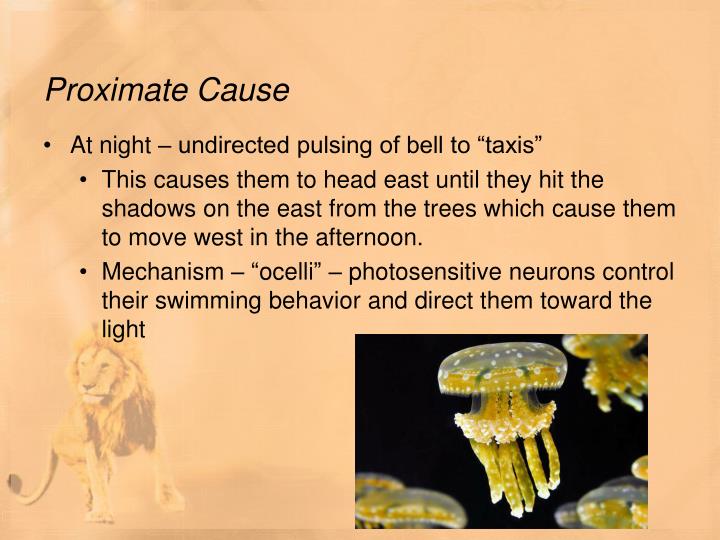 proximate and ultimate causation in animal behavior