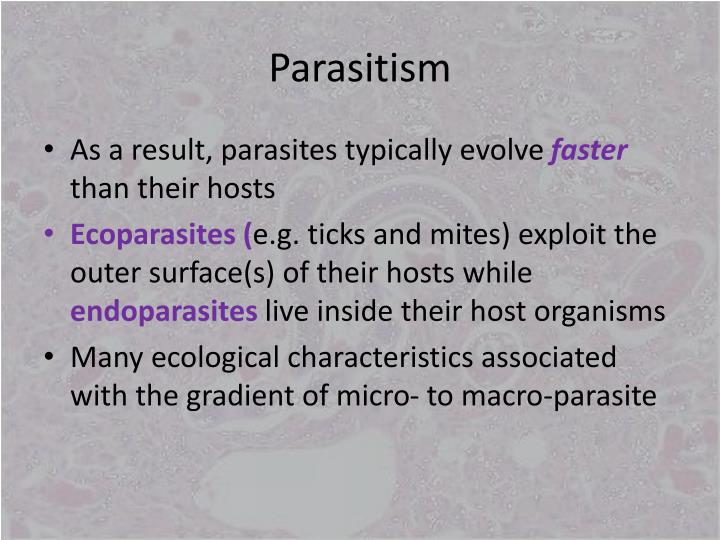 Natural Selection Tends To Favor Organisms That Have Natural Selection Tends To Favor Organisms That Have