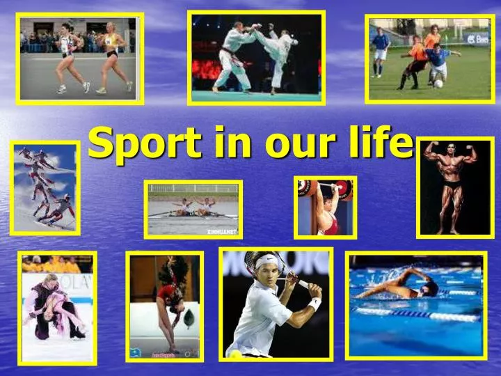 what is the importance of sport in your life