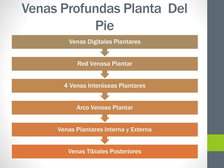 Si a mí varikoz es posible beber la cocción del pellejo de cebolla