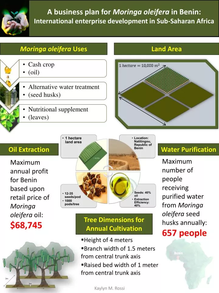 business plan cash crops