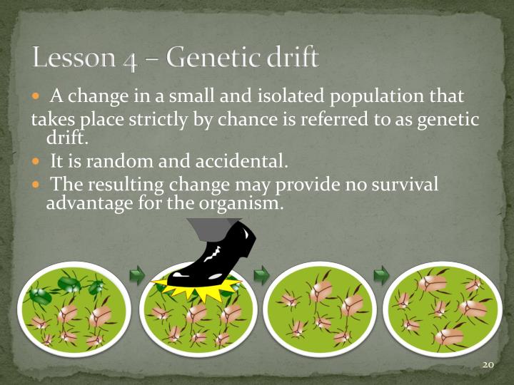 Compare Genetic Drift And Natural Selection Compare Genetic Drift And Natural Selection