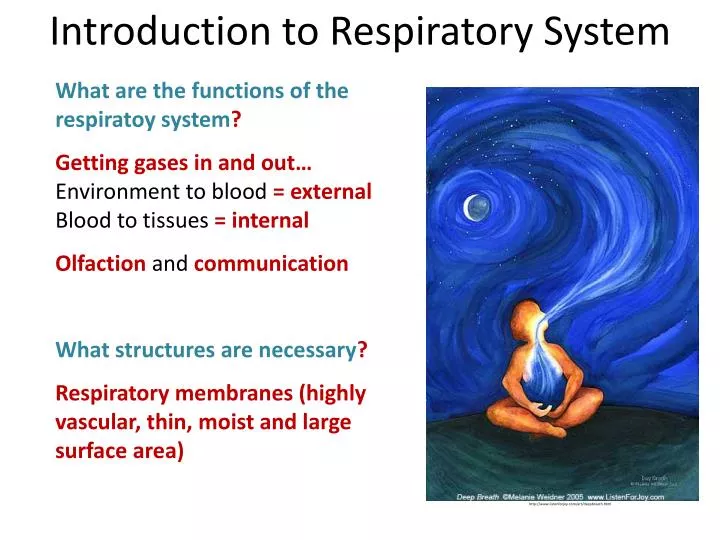 what are the functions of a what are the functions of a