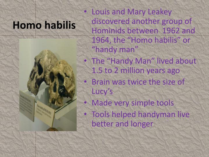 louis leakey discoveries PPT - Early Hominids PowerPoint Presentation - ID:2765832