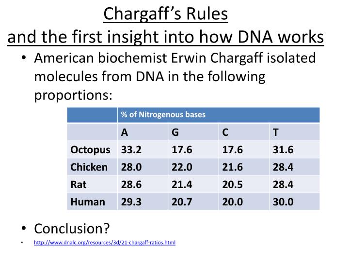 ppt-how-the-form-and-function-of-dna-relate-powerpoint-presentation-id-2767546