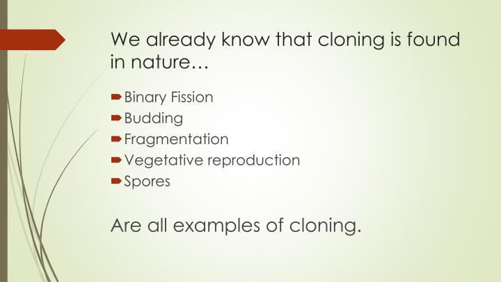 Essay On Cloning
